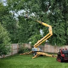 Best Tree Risk Assessment  in Byhalia, MS